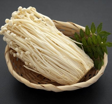 jamur enoki